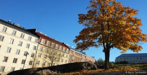 3 tapaa huomioida taloyhtiö asuntosijoittamisessa